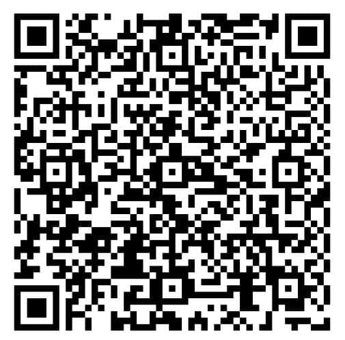 QR CODE: Combustível para a noiva